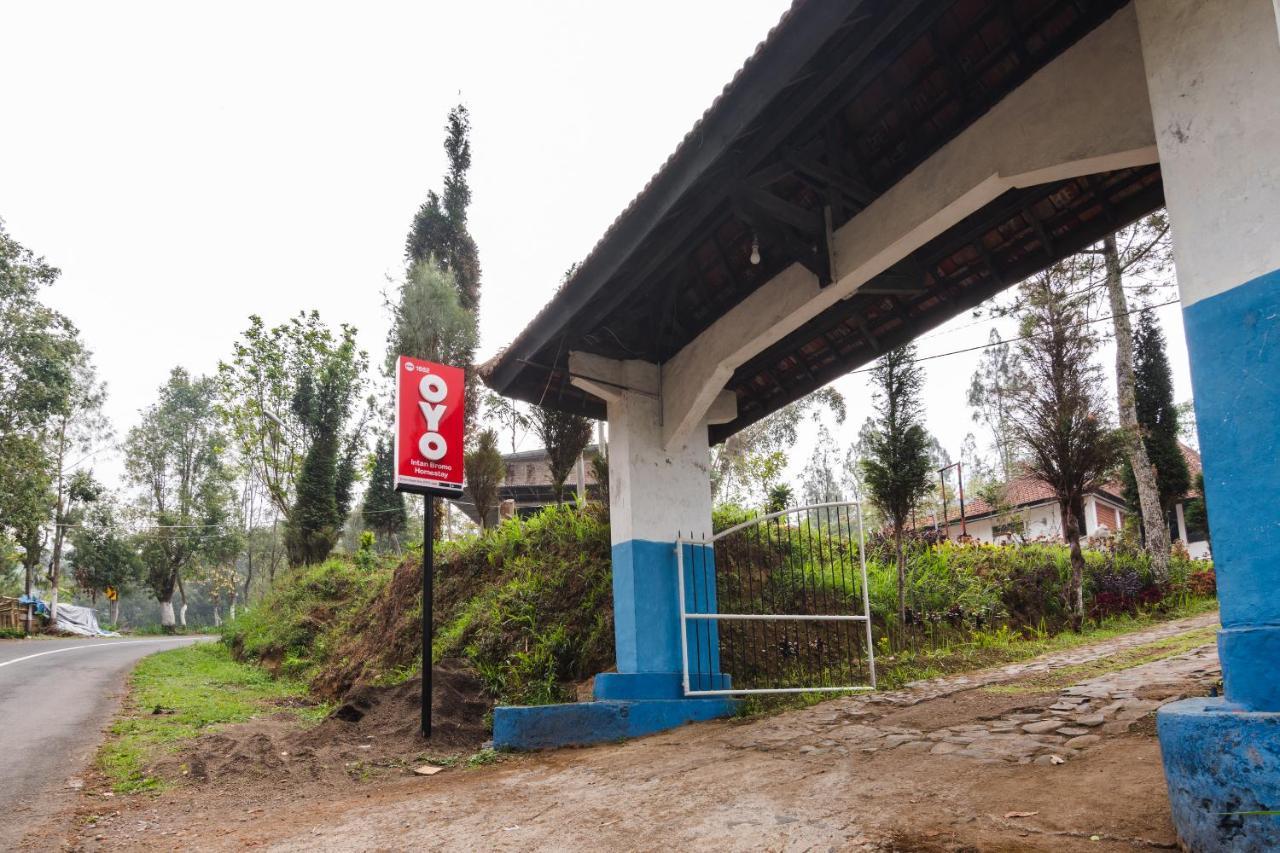 Oyo 1852 Intan Bromo Homestay Pasuruan Kültér fotó
